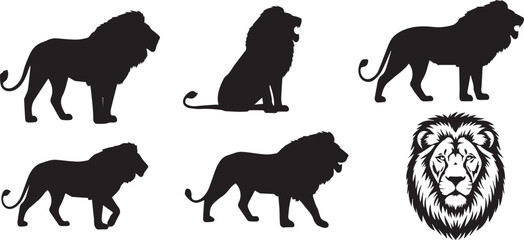 Lion Vector illustration and  different pos  © Bristy