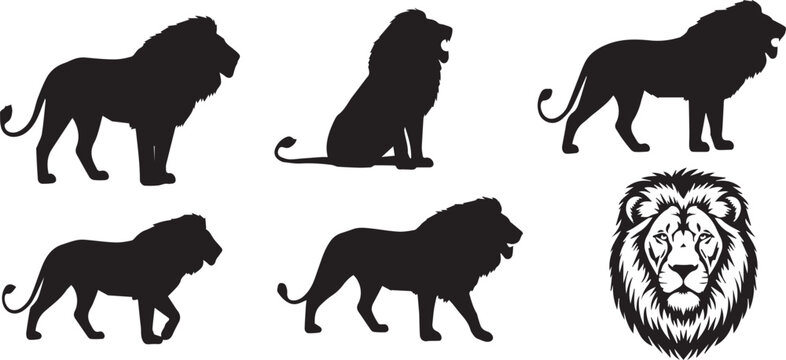 Lion Vector illustration and  different pos 
