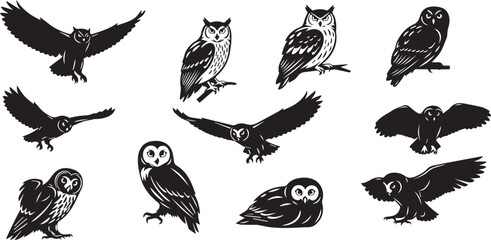 Obraz premium Owl bird vector illustration 