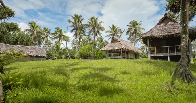 Tropical island village with traditional bungalows with thatched roofs, surrounded by lush green grass and towering palm trees under a blue sky. Summer vacation remore wild nature paradise resort