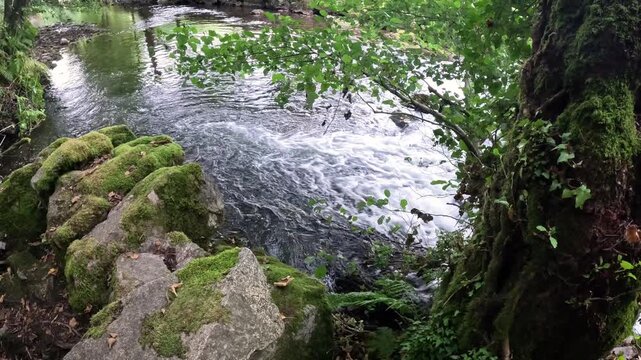 Sarria river in Samos, comarca of Sarria, province of Lugo, Galicia, Spain
