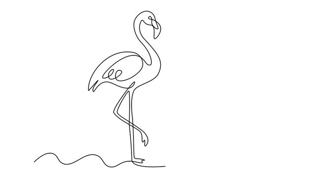 Continuous one line of a flamingo in editable stroke, style hand drawing vector illustration.