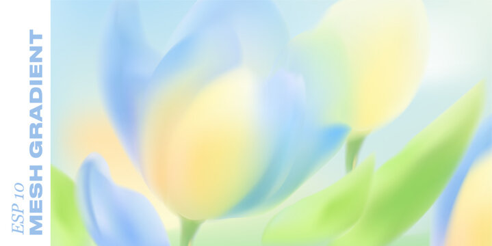 Spring tulip flowers bloom in soft pastel colors against gentle gradient background. Delicate floral botanical design with blurred petals creates elegant Easter card atmosphere.