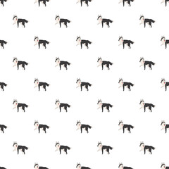Siberian husky dogs creating a cute pet animal breed pattern © nsit0108