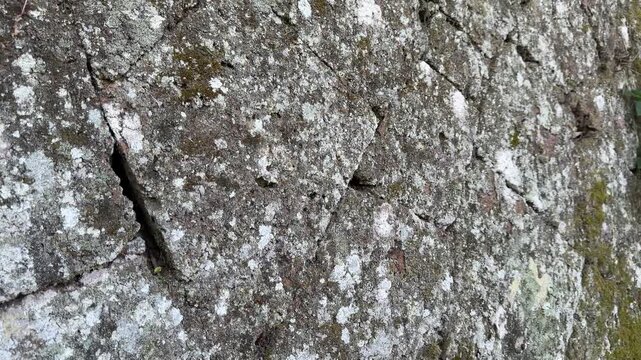 Stacked Tufa Rocks Forming a Historic Wall in Italy