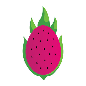 Dragon Fruit Cartoon Vector Illustration Cute Character Design