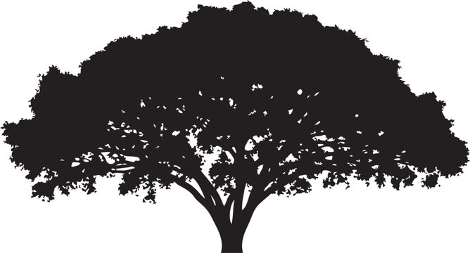 Tree silhouette, black tree icon, vector tree, isolated tree