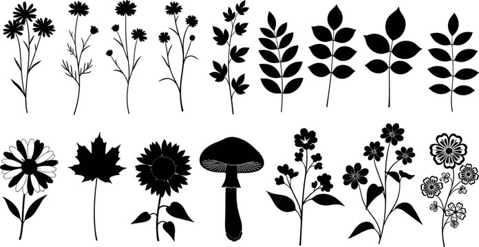 Silhouette Floral Collection with Daisies, Sunflowers, Mushrooms, and Leaves for Digital Design, Logos, and Crafts
