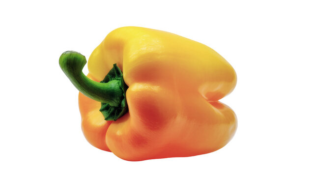 Yellow orange bell pepper with green stem and calyx