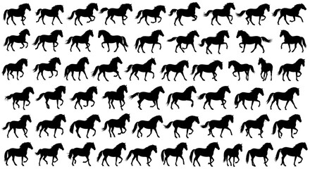 Fototapeta premium Set of horse silhouettes in various poses and movements isolated on white background