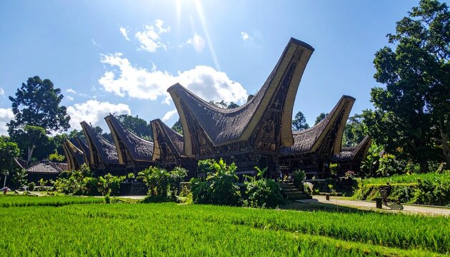 "Traditional Tongkonan houses with high curved roofs, ornate carvings, stilts, lush rice fields, tropical vegetation, blue sky, cultural heritage landscape of Toraja, Indonesia."