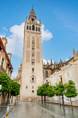 Famous Giralda tower in Seville rising above historic buildings and trees under bright blue sky....