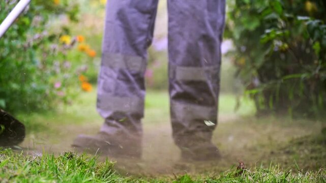 Person mows grass with a handheld trimmer. Dust kicks up as blades cut through green grass. Footage shows practical outdoor maintenance. Green plants and flowers surround the trimming area