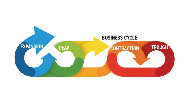 Business Cycle Infographic: Expansion, Peak, Contraction, Trough