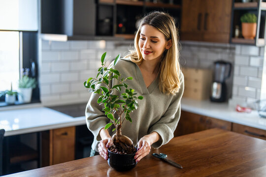 Plant care as a mindful hobby brings peace and relaxation, helping to reduce stress at home