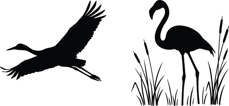 Crane flying bird and flamingo standing silhouette icon illustration, wildlife animal artwork design, nature motif concept symbol graphic representation