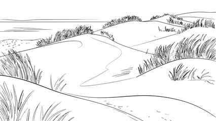 Obraz premium High quality vector of line art drawing of coastal sand dunes with beach grass.