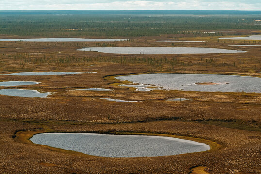 View of Wetlands With Multiple Water Bodies in a Natural Landscape During the Day in an Open Area