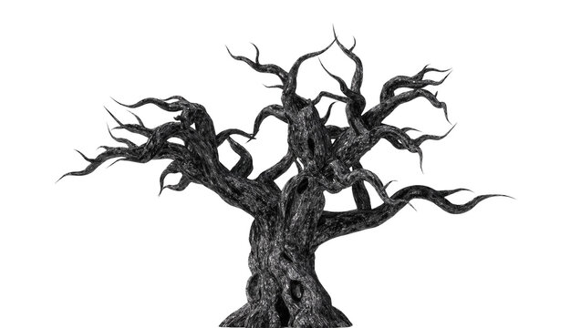 Gnarled ancient tree with twisted branches and textured bark