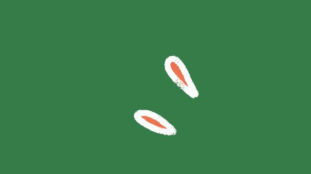 Hand-Drawn Water Droplets or Sweat 2D Animation on Green Screen | Expressive Emotion Graphic hand drawn animation