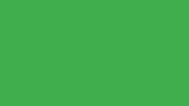 Minimal Lower Third 2D Animation on Green Screen | Professional Geometric Banner Graphic Overlay for Video Editing