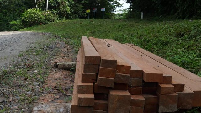 Sawn tropical hardwood planks beside a dirt road in the rainforest, Cedro (Cedrella odorata) planks hauled out of the rainforest awaiting transport. In pristine rainforest, Orellana province, Ecuador.