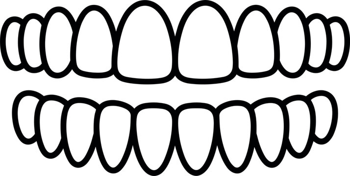 Cartoon Teeth Outline Set with Upper and Lower Jaw Cute Dental Smile Minimal Line Art Vector Illustration Isolated on White Background
