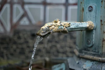 Alter Brunnen - Wasserspeier © Dagmar Gärtner