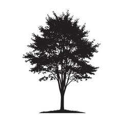 Fototapeta premium Silhouette of tree black and white 