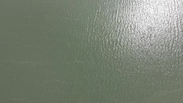 An aerial top down view showing bright sunlight reflecting off a slightly murky green water surface creating a beautiful shimmering effect as gentle ripples continuously move across it.

