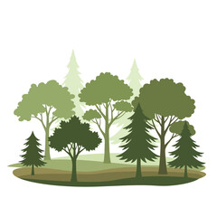Fototapeta premium Diverse Woodland Silhouette: Green Trees and Pine Forest Landscape