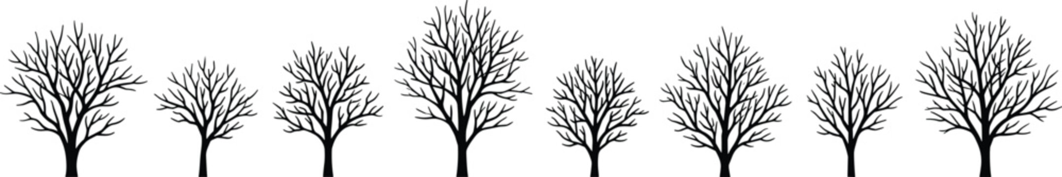 Stylized leafless tree silhouettes in horizontal row, diverse branching patterns black natural forest artwork botanical decorative design isolated vector illustration, flat vector illustration