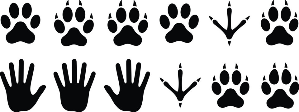 Animal paw prints bird tracks and human handprints icons, footprint artwork decorative vector illustration element for wildlife, nature, and education design, flat vector illustration