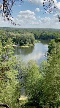 Vertical View of Serene River and Lush Green Forest Under Blue Sky