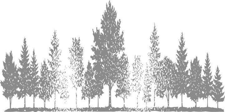 Dense forest tree line silhouette with mixed deciduous and evergreen trees in grey vector graphic style isolated on white background for landscape design