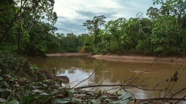 Rio Tiputini flowing through the rainforest, panning time lapse. In Yasuni National Park, Orellana province, Ecuador