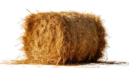 Large rectangular Hay Bale of Dried Straw on Ground © Ari