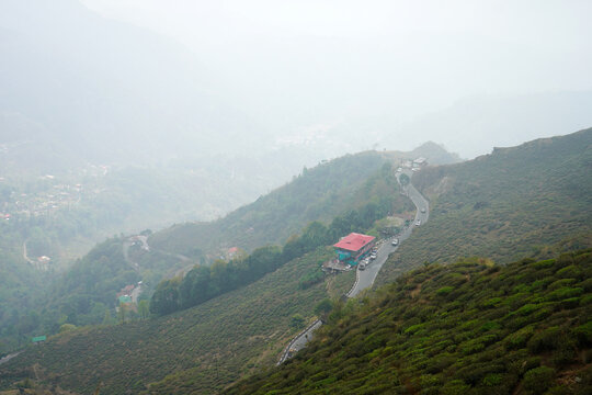 Winding mountain road passing through tea gardens in the misty Himalayan hills at Kurseong