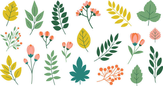 Collection of colorful leaves and flowers in various shapes and sizes on white background