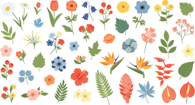 Colorful assorted flowers and leaves on white background for decoration and design