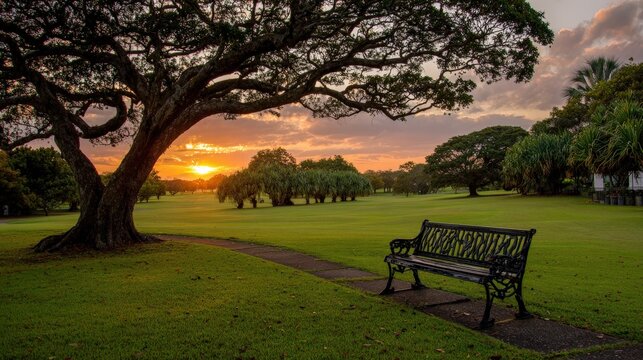 Empty bench sits in a lush green park during a vibrant sunset.