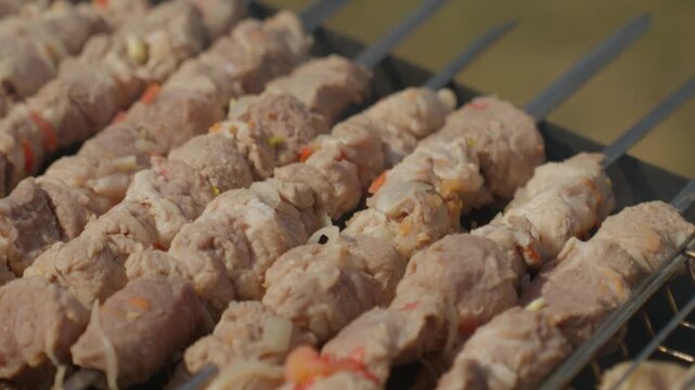 Raw Pork Skewers On Grill Showing Uncooked Meat Threaded On Metal Skewers, Closeup Of Texture And Seasoning With Hints Of Pepper And Garlic, Backyard Barbecue Setup And Warm Golden Light Conveying