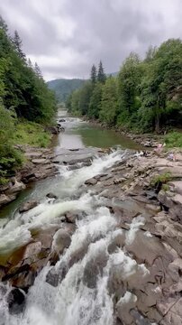 Powerful Mountain River Rapids and Waterfall in Pine Forest