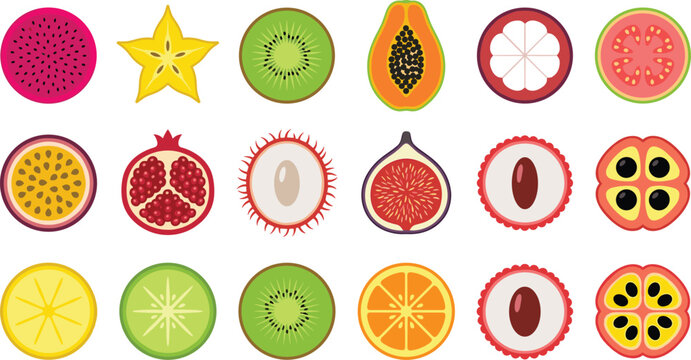 Colorful Tropical Fruit Slice Vector Collection Featuring Kiwi, Papaya, Dragon Fruit, Passion Fruit, Fig, Rambutan and Citrus Cross Sections in Flat Style for Fresh Food Design