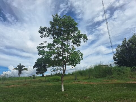 C&eacute;u azul com nuvens densas sobre campo aberto