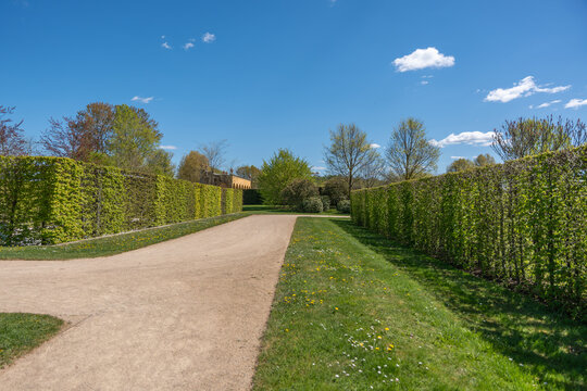 Pathway winds through lush green hedges under bright blue sky. Sunlight glints off gravel and grass, creating peaceful ambiance. Ideal for garden, park, or travel-themed projects