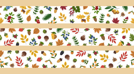 Set of autumn forest borders. Collection of seamless horizontal patterns with autumn leaves, acorns, berries, and other forest elements. Decorative ornaments. © Ирина Яшкирева