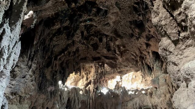 A wide shot looking up at the ceiling of a dark, rocky cavern or grotto with stalactite formations. Numerous small bats can be seen actively flying around and hanging in the shadows, with natural dayl