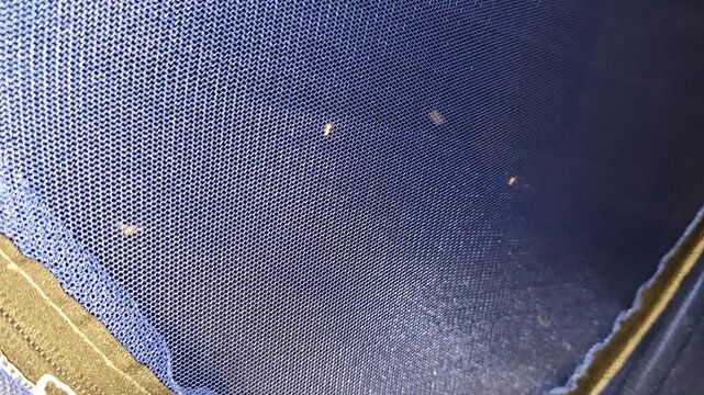 Mosquitos 240fps Slow Motion hovering and swarming near a blue protective mesh screen in a detailed macro close-up with soft natural light