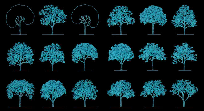 AutoCAD Urban Planning Trees Vector Set &ndash; Architectural Foliage Multi View Blueprint Cyan Outline on Black Background